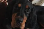 Black Devil´s You´re My Best Friend Bild 2