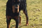 Black Devil´s You´re My Best Friend Bild 5