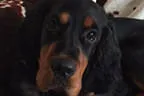 Black Devil´s You´re My Best Friend Bild 19