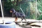 Bilder-N-wurf Bild 22