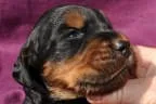 Nach 14 Tagen