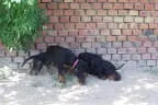 Nach 9 1/2 Wochen