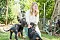2013-Fressnapf-Gordon-Setter-Shizu-083-1024x683.jpg