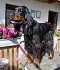 DSC-0032-881x1024.jpg