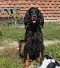 DSC-0035-901x1024.jpg
