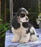DSC-0101-903x1024.jpg