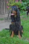 DSC-0205-678x1024.jpg