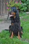 DSC-0206-678x1024.jpg