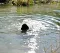 img20160925wa0001.jpg