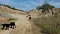 img20160925wa0007.jpg