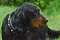 dsc_0019_800x530.jpg