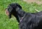 dsc_0037_800x560.jpg