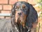 dsc_0076_800x618.jpg