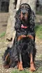 dsc_0164_4.jpg
