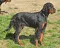 dsc_0260_2.jpg