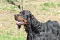 17.03.2019_039.jpg