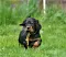 1_dsc_0021_22gelb.jpg
