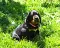 1_dsc_0078.jpg