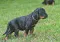 1_dsc_0161.jpg
