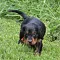 1_dsc_0297_2.jpg