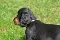 1_dsc_0519_800x530.jpg