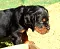 2_dsc_0007.jpg