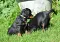 2_dsc_0149.jpg