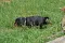 4_dsc_0049_800x530.jpg