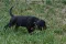 4_dsc_0112_800x530.jpg