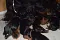 5._aug._2018_004.jpg
