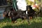 6_dsc_0212_800x530.jpg