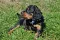 7_dsc_0009_800x530.jpg