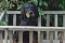 7_dsc_0014_800x530.jpg