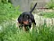 dsc_0008_34rot.jpg