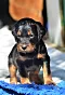 dsc_0022_19grn.jpg