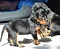dsc_0026_18grnbunt.jpg