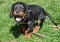 dsc_0027_800x563.jpg