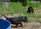 dsc_0027_800x570.jpg