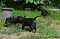 dsc_0028_800x524.jpg