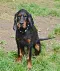 dsc_0031_672x800.jpg