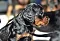 dsc_0035_17grn.jpg