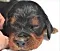 dsc_0044_7rde_lila.jpg