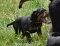 dsc_0052_800x617.jpg