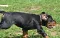 dsc_0060_800x509.jpg