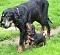 dsc_0069_15rot.jpg