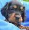 dsc_0070_772x800.jpg