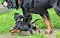 dsc_0076_19rot.jpg