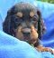 dsc_0077_746x800.jpg