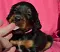 dsc_0097_800x691.jpg