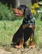 dsc_0110_622x800.jpg